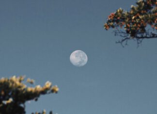 Lunární kalendář na týden: Je čas připravit zahradu na zimu