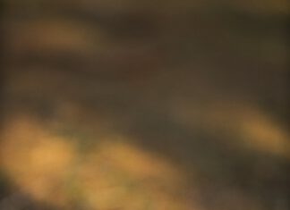 K svátku všech svatých, na dveře i na stůl! Uvítá věnec jako naše čtenářka Soňa