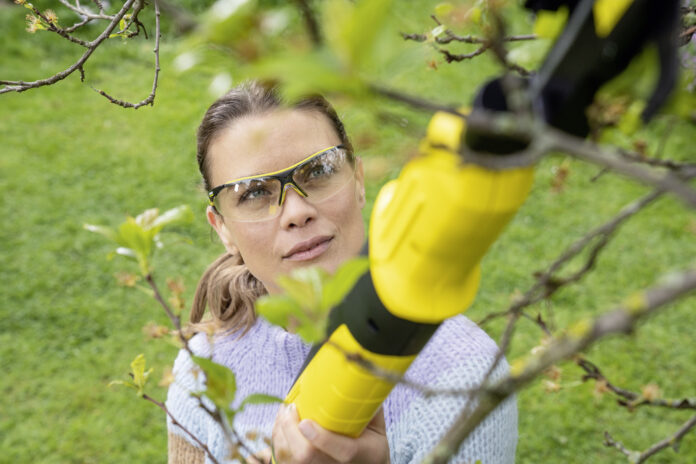 TLO_18_32_cutting_branch_app_05_CI20_96 dpi (jpg)
